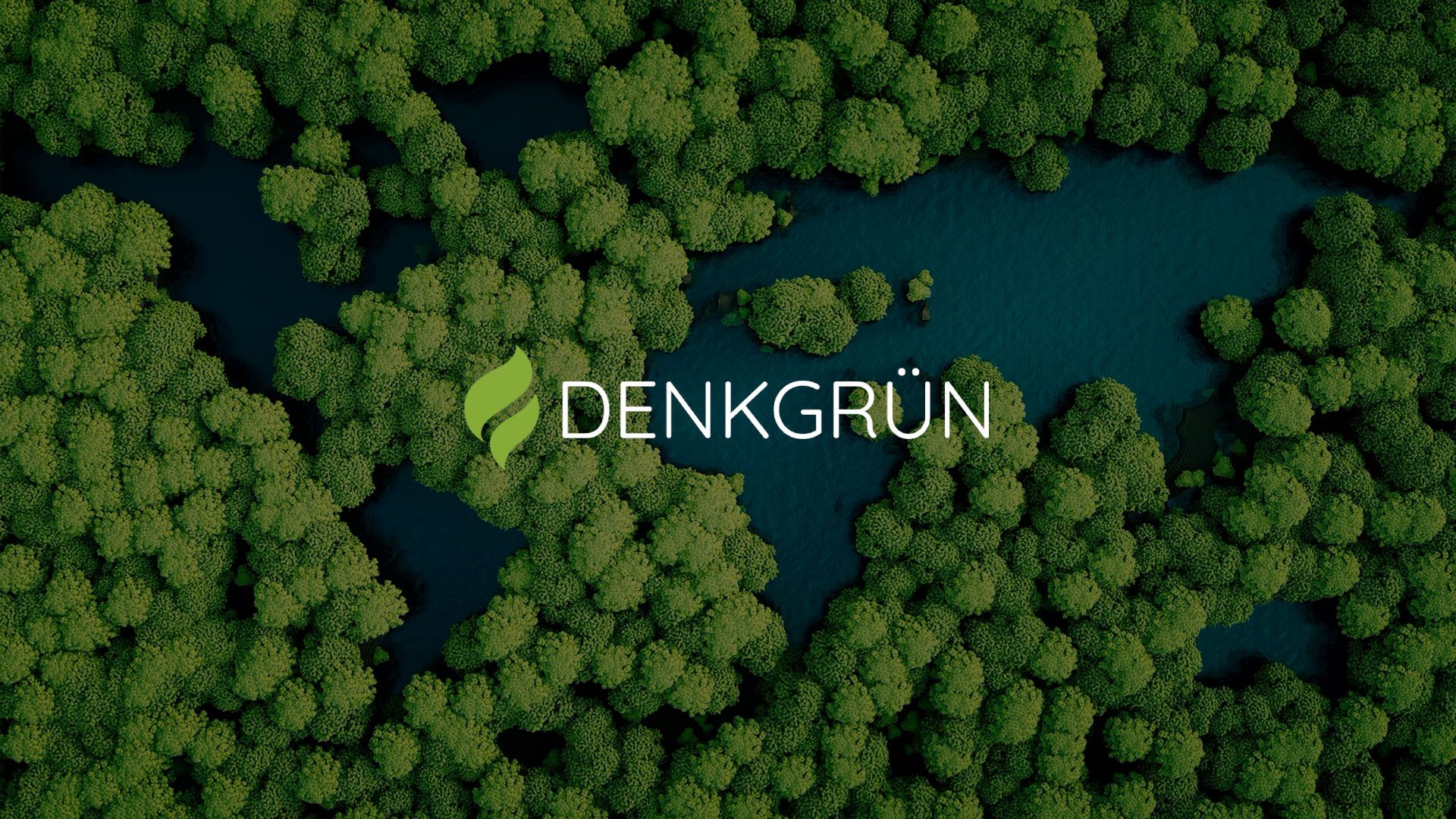 Dichter grüner Sumpf mit Wasserflächen, darüber das Logo von DENKGRÜN mit grünem Blatt-Symbol
