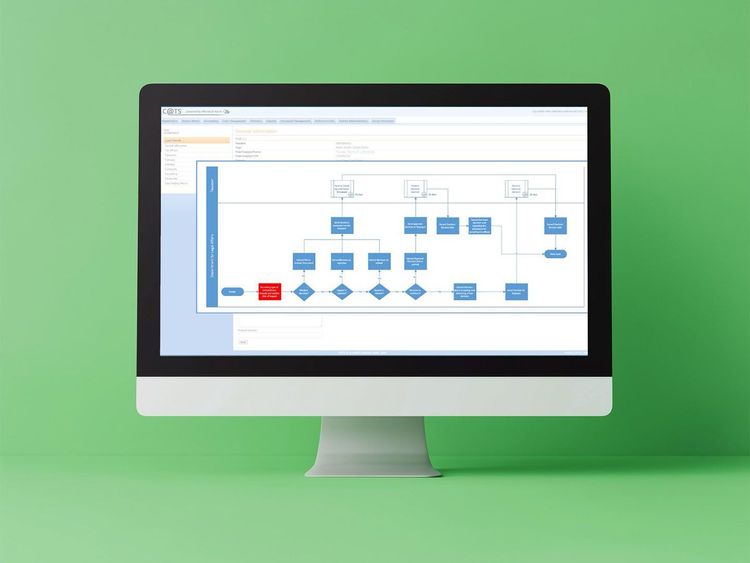 Flussdiagramm mit blauen und roten Kästchen auf einem Computerbildschirm vor grünem Hintergrund